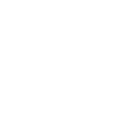 chat icon